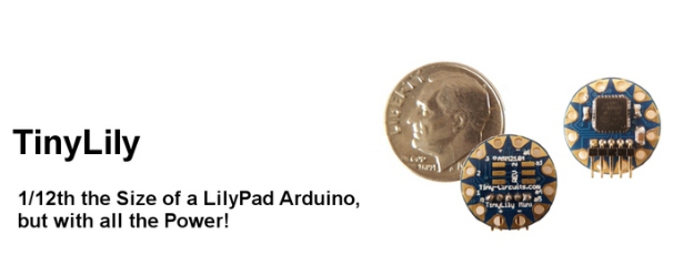 tinylily.jpg tinylily.jpg